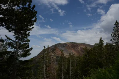 DSC_2943 (Large).JPG